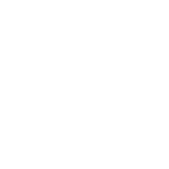 house renewal icon