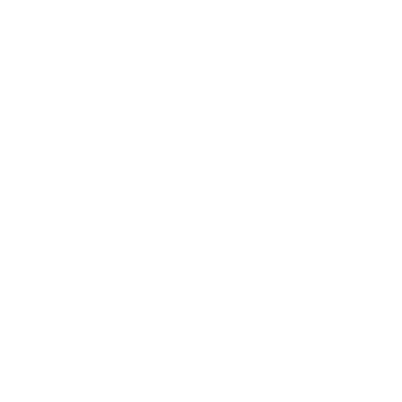 house and bricks icon